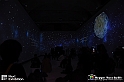 VBS_8106 - Van_Gogh_experience